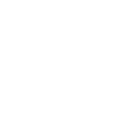 DATA QUALITY MANAGEMENT